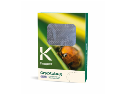 Cryptobug 500