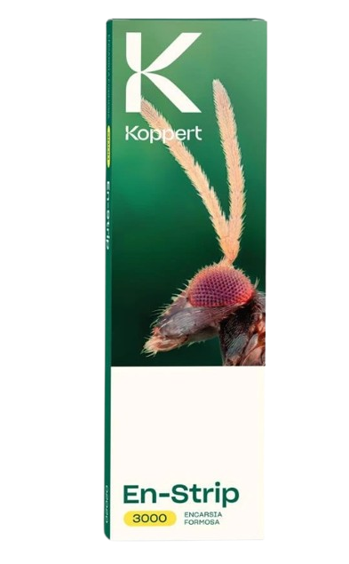 En-strip - Encarsia formosa proti moliciam Kus: 15000 ks