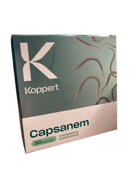 KOOPERT CAPSANEM Steinernema carpocapsae Balenie: 2 x 250 miliónov