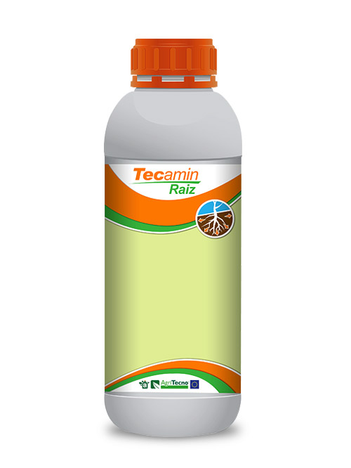 Tecamin Raiz liter: 1,00
