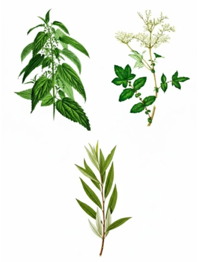 E-shop Bioka URTICA PLUS liter: 1,00