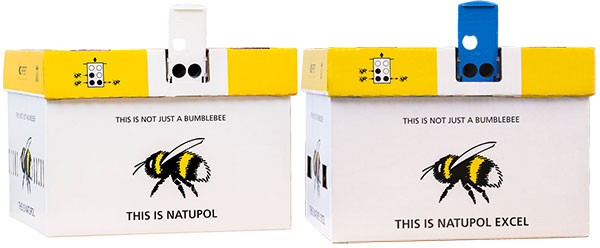 Čmeľ zemný pre opeľovanie Veľkosť: Natupol Standrad Hive