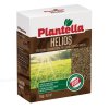 Plantella Helios - odolná tráva proti namáhaniu