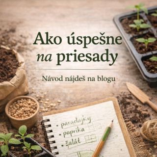 Chceš, aby sa ti priesady podarili na prvýkrát? 🌱 Na našom blogu nájdeš podrobný návod, ako úspešne na priesady – od...