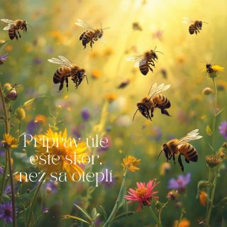 Včelárska sezóna sa neodvíja len od teploty, ale aj od toho, čo máš včas pripravené 🐝 Zima je priestor: skontrolovať...