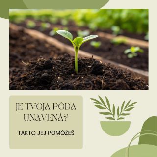 3 signály, že je pôda po sezóne „unavená“: 1️⃣ rastliny rástli pomaly, aj keď mali dosť vody 2️⃣ úroda bola menšia ako...