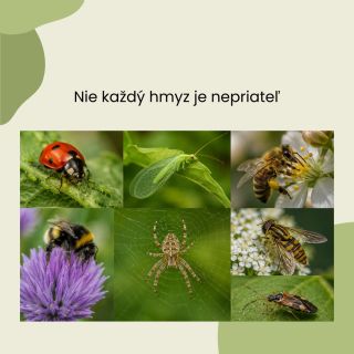 🐞 V záhrade nemusí byť každý hmyz dôvodom na zásah. Niektoré druhy pomáhajú držať škodcov pod kontrolou. Skôr než...