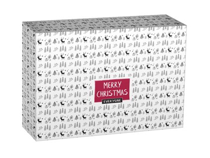 Krabicka na cukrovinky Cake box 250x210x70mm Merry christmas stastne vianoce
