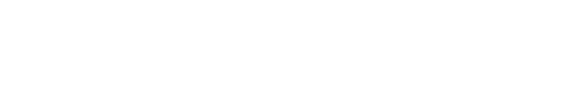 El ceego