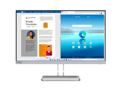 Monitor Lenovo L27i-40 27",LED podsvícení, IPS panel, 6ms, 1300: 1, 300cd/m2, 1920 x 1080 Full HD, - šedý