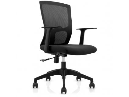 Kancelářská židle Connect IT ForHealth BetaPro - černá