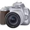 Zrcadlovka Canon EOS 250D + 18-55 IS STM, stříbná
