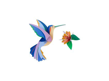 hummingbird paradise bird website product picture nobg 1719393400