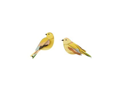 citrinella pair garden bird website product picture 1753280748