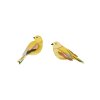 citrinella pair garden bird website product picture 1753280748