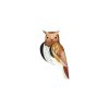 tawny owl garden bird website product picture 1753280756
