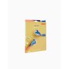 blue tits garden birdsb5 website mockup packaging 1721641514