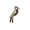 woodpecker garden bird website product picture nobg 1721641859