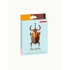 Elephant Beetle packaging