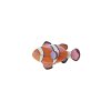 clownfishwebsite product picture 1753280956