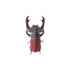 stag beetle website picture nobg 1706790583
