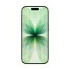 Apple iPhone 17/256GB/Sage