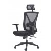 Kancelářská ergonomická židle KOLIN s nastavitelnou bederní opěrkou černá 43,5 - 53,5 cm Klasický