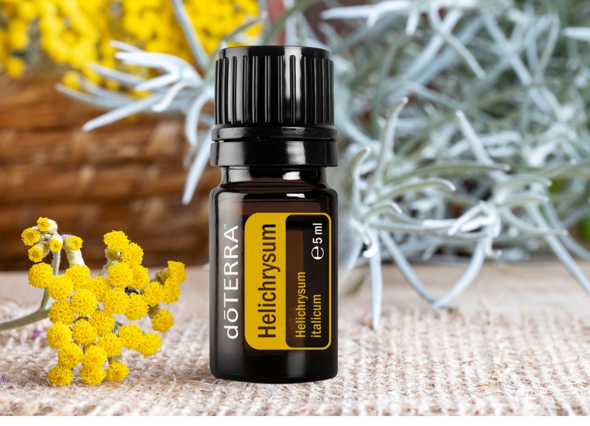 Večná krása a regenerácia? Vyskúšajte doTERRA® Helichrysum olej