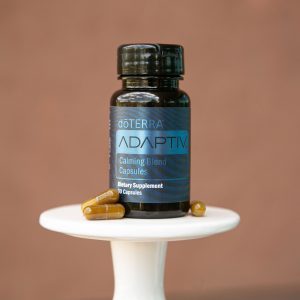 adapK-300x300