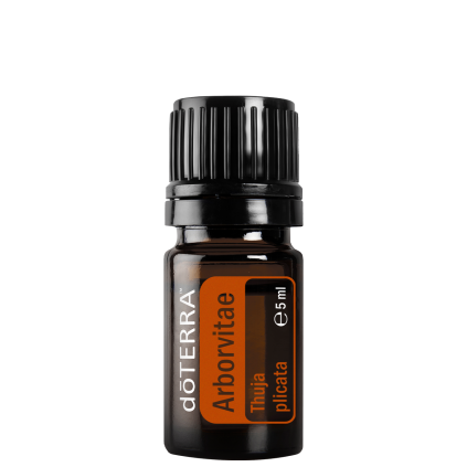 arborvitae5ml