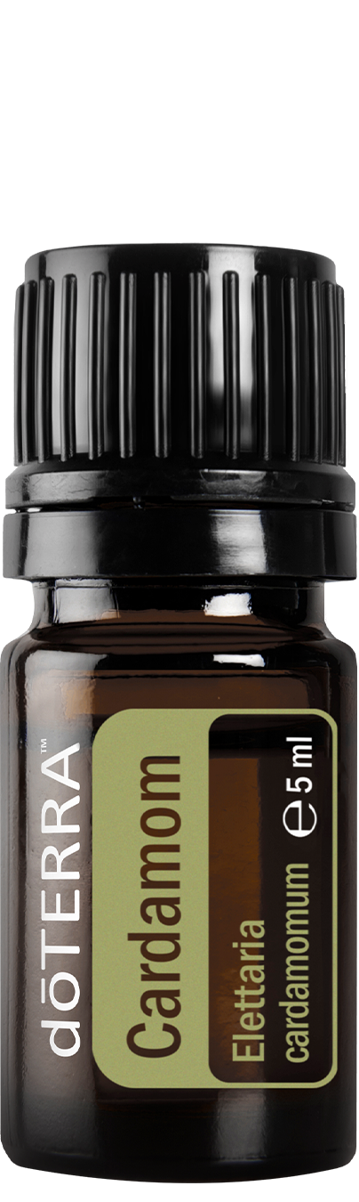 Cardamom - Essential Oil 5ml