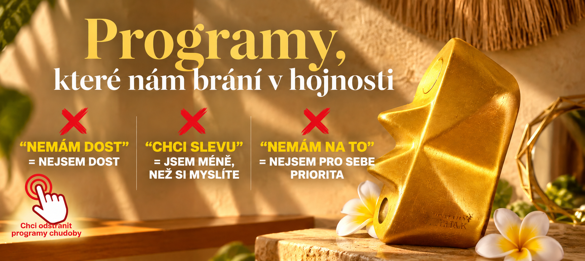Programy, které brání hojnosti