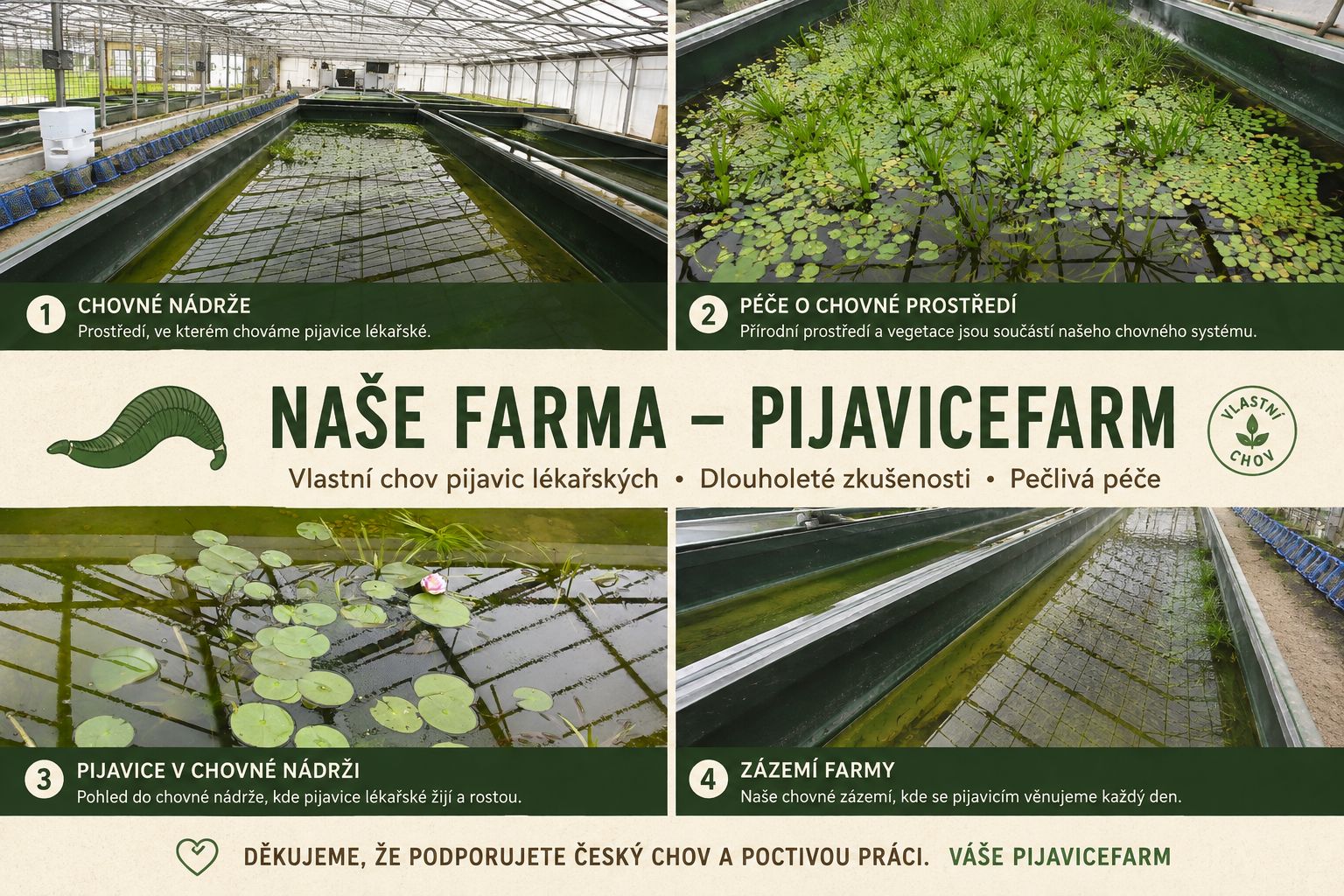 farma-pijavice-foto_1