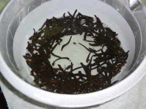 Pijavice lékařská  kosmetická malá 0.2 - 1,0 gr mix