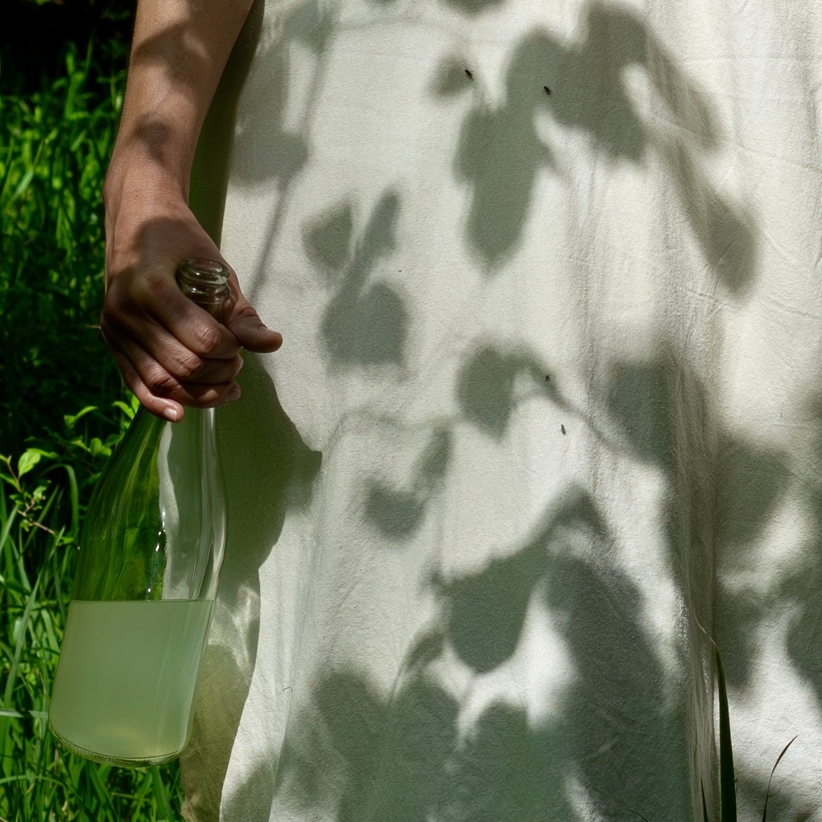 Březové mízy EUFORIA