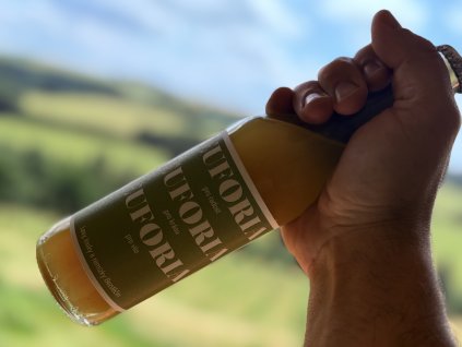 MATCHA 2025 — Březová míza EUFORIA 330 ml