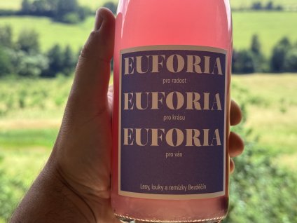 ČERNÝ RYBÍZ A BERGAMOT 2025 — Březová míza EUFORIA 750 ml