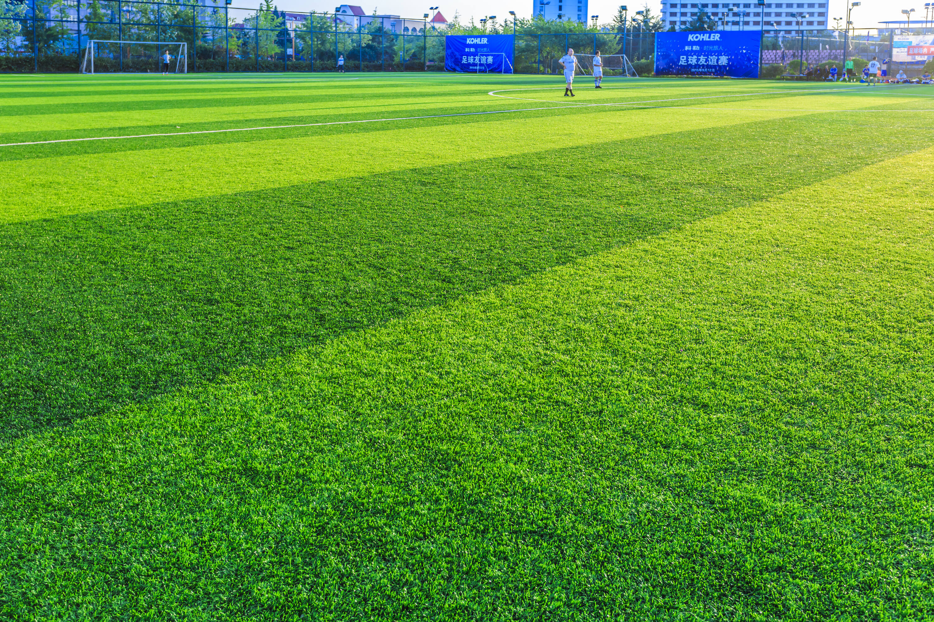 green-grass-compressed