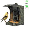 !ROZBALENO! EVOLVEO StrongVision BirdFeeder - Chytré krmítko pro ptáky s kamerou a solárním panelem
