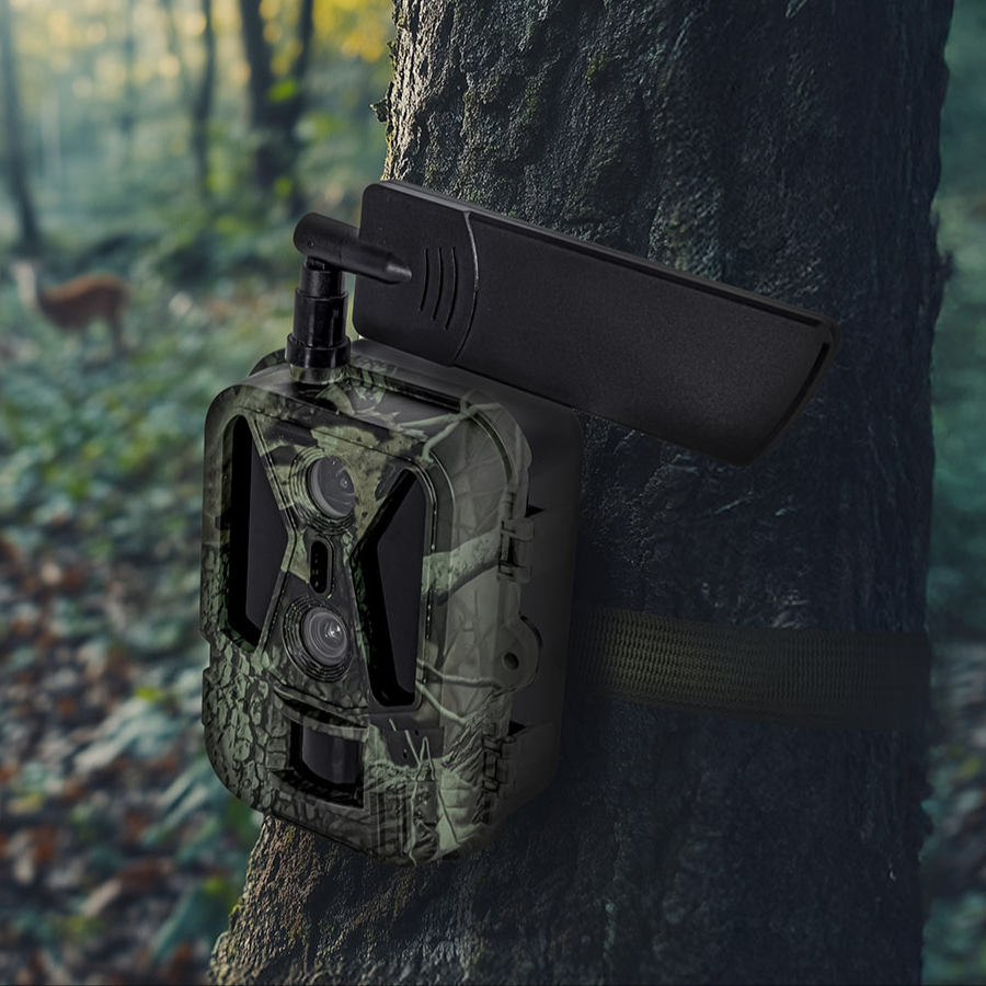Hogyan válasszunk vadkamerát: Elhelyezés, beállítás és képátvitel