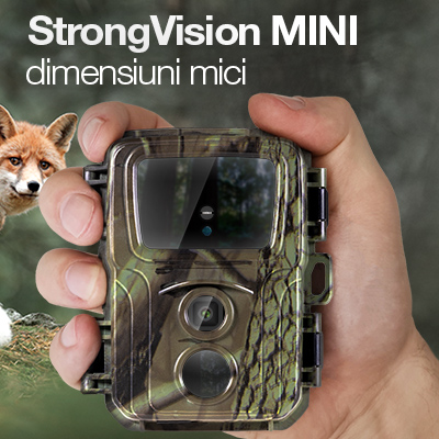 StrongVision Mini_mobil