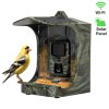 EVOLVEO StrongVision BirdFeeder - Alimentator inteligent pentru păsări cu cameră și panou solar