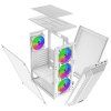 XENON-WH_lo_res_006.jpg