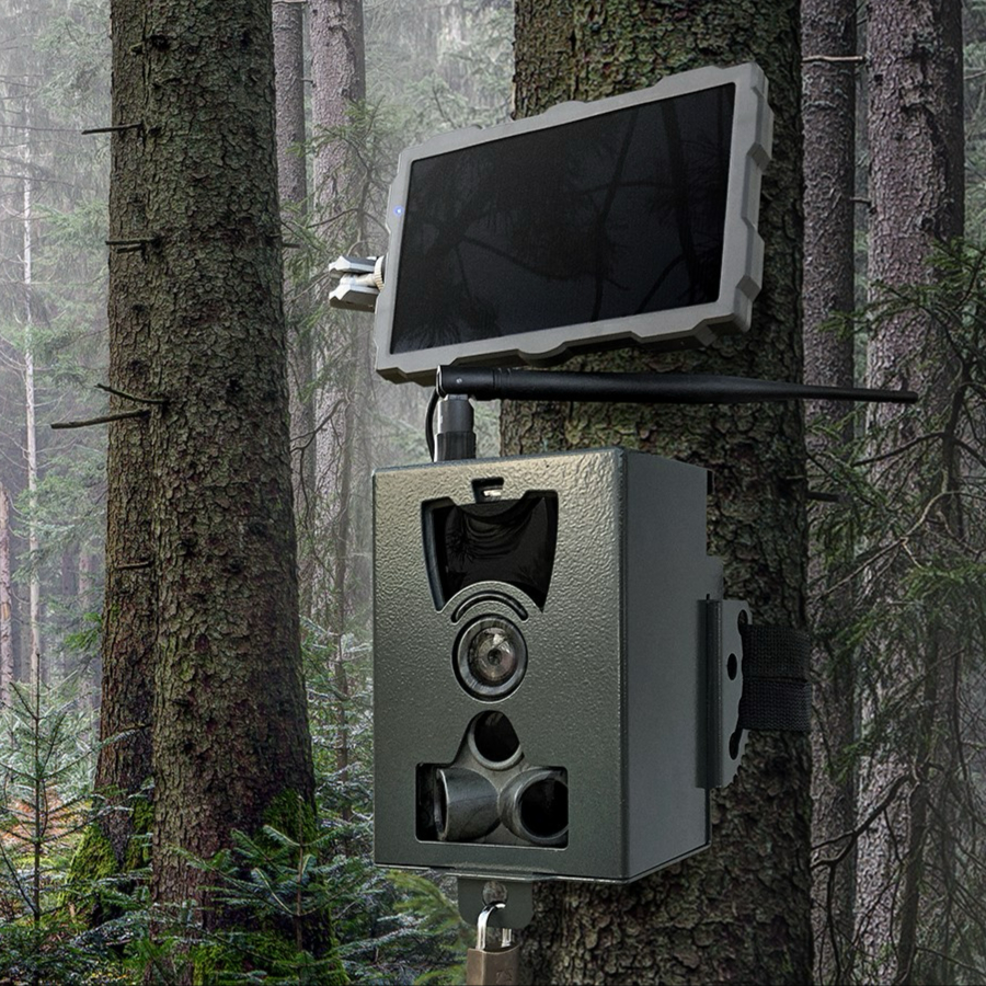 Chcete najlepšiu fotopascu? Prehľad funkcií, ktoré naozaj potrebujete