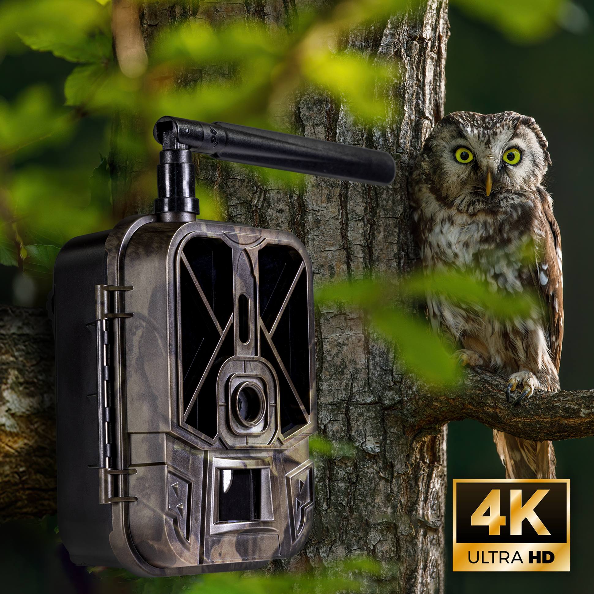 Ako nastaviť fotografickú pascu? Podrobný návod pre klasické modely, modely GSM a WiFi