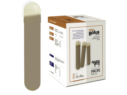 bolus buffer2 1