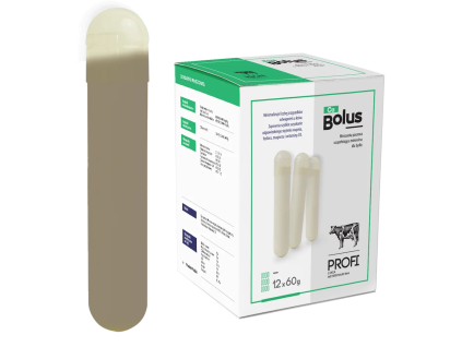 bolus ca2 1