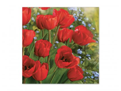Servítky Červené tulipány