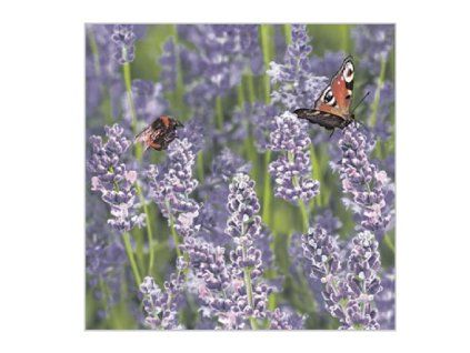 28935 servitky levandula
