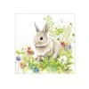Servítky Zajačik na lúke